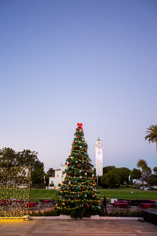 Lighting Installation, Loyola Marymount, Holidays, Christmas