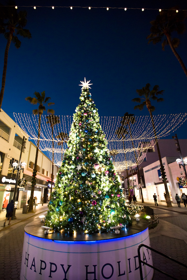 Holiday tree, lighting, Santa Monica, Holidays, Event Lighting, Tree Lighting