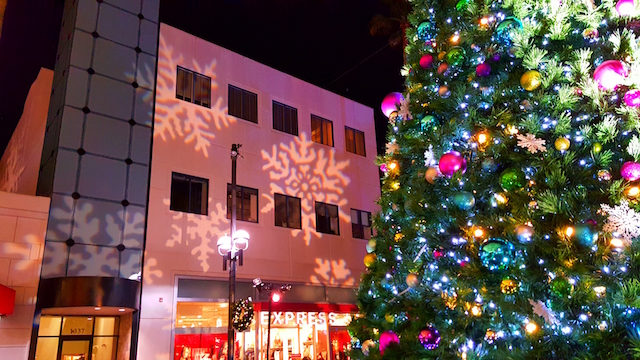 Lights, Holiday Lighting, Holiday Decor, Lighting Safety, Christmas Tree