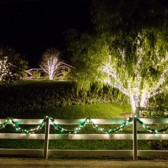 holiday lighting Pacific Event Services